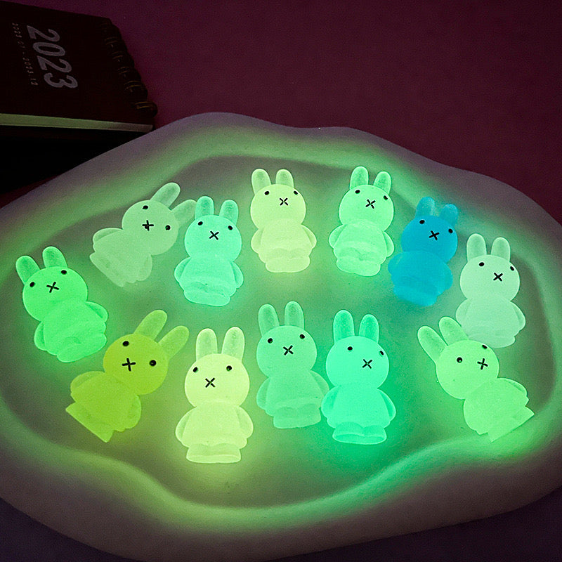 Luminous Miffy Charms