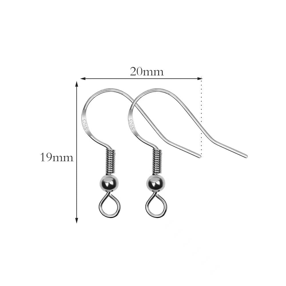 Earring Hook Kit
